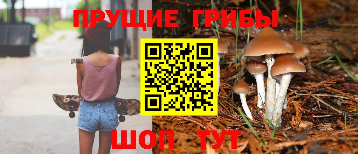 Псилоцибиновые грибы MAGIC MUSHROOMS Мелеуз